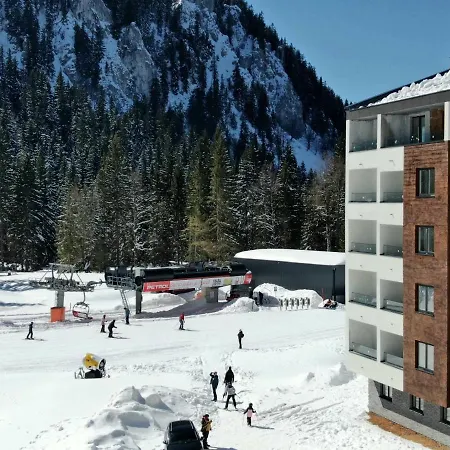 Winter Wonderland